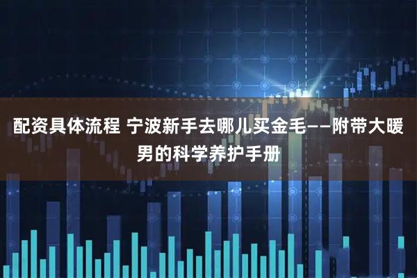 配资具体流程 宁波新手去哪儿买金毛——附带大暖男的科学养护手册